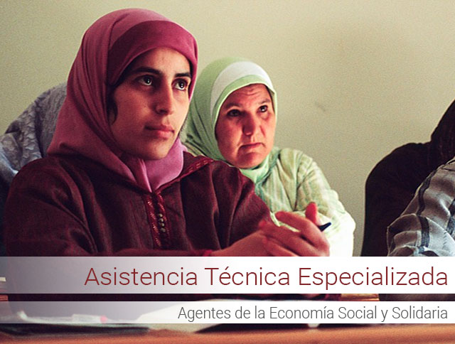 Asistencia técnica